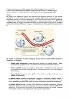 anteprima - Altro tipo di materiale - IL SISTEMA ENDOCRINO_FISIOLOGIA - Pagina 1