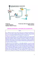 Vista previa - Unidades / Secuencias / Situaciones de Aprendizaje - 07M1SEM1 - Introducción aprendizaje cooperativo, diagnostico - página 2