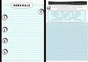 Vorschau - Arbeitsblätter - Nomen Booklet mit zahlreichen Übungen - Seite 2