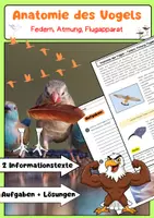 Vorschau - Arbeitsblätter - Anatomie des Vogels: Federn, Atmung, Flugapparat - Deckblatt