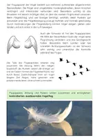 Vorschau - Arbeitsblätter - Anatomie des Vogels: Federn, Atmung, Flugapparat - Seite 2