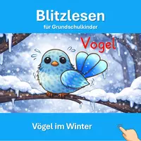 Vorschau - Videos - Blitzlesen - Vögel im Winter - Video+Wortschatzliste+Text - Deckblatt