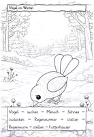 Vorschau - Videos - Blitzlesen - Vögel im Winter - Video+Wortschatzliste+Text - Seite 2