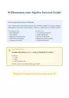 Vorschau - Arbeitsblätter - Survival Guide: Terme, Rechengesetze & Binomische Formeln - Seite 1