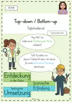 Vorschau - Präsentationen/Tafelbilder - Bionik: Tafelmaterial bottom-up/ top-down - Deckblatt
