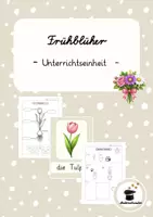 Vorschau - Unterrichtsreihen - Unterrichtseinheit Frühblüher – Frühling im Sachunterricht | Grundschule Klasse 1–2 - Deckblatt