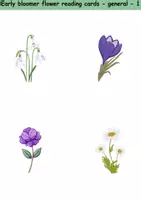 Vorschau - Mal- und Bastelvorlagen - Lesekarten/Bildkarten - Frühblüher / Early Bloomer (Medium) - Englisch - Seite 1