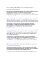 Vorschau - Klassenarbeiten - Erdkunde Klassenarbeit SEK I – Leben und Wirtschaften in den Tropen | Bewertung - Deckblatt