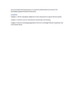 Vorschau - Klassenarbeiten - Nachhaltige Entwicklung und Zukunftsperspektiven | Erdkunde Klassenarbeit SEK I - Seite 1