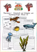 Vorschau - Arbeitsblätter - Meerestiere: Arbeitsheft & Sachtexte - Sachunterricht / Deutsch - Kl. 2 - Deckblatt