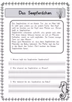 Vorschau - Arbeitsblätter - Meerestiere: Arbeitsheft & Sachtexte - Sachunterricht / Deutsch - Kl. 2 - Seite 2