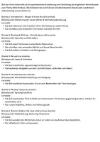 Vorschau - Stundenentwürfe - Wild Animals_Stundenverlaufsplan und Reihentransparenz - Seite 3