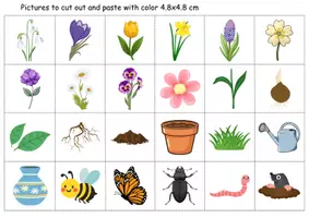 Vorschau - Mal- und Bastelvorlagen - Vokabelbilder: Frühblüher / Early Bloomer - Bildkarten Englisch - Seite 1