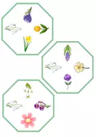 Vorschau - Mal- und Bastelvorlagen - Find the twin: Frühblüher / Early Bloomer - Englisch Spiel Game - Seite 2