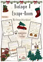 Vorschau - Stundenentwürfe - Hormone: Letzte Unterrichtsstunde vor Weihnachten | Biologie 8 | Escape Room | sofort einsetzbar - Deckblatt