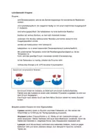 Vorschau - Merkblätter - Lernübersicht I Enzyme - Seite 1