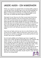 Vorschau - Text - Unsere Augen - Lesetext mit Fragen - Seite 1