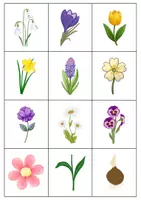 Vorschau - Unterrichtsreihen - Vokabelkarten / Vocabulary cards: Frühblüher / Early Bloomer - Lesen & Schreiben (Englisch) - Seite 3