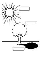 Vorschau - Arbeitsblätter - Licht & Schatten – Mein Lern‑ und Arbeitsheft (DaF/DaZ, Grundschule) - Seite 3