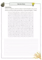 Vorschau - Arbeitsblätter - Teste dein Wissen zur Altsteinzeit und Jungsteinzeit - Suchsel - Wörter erklären - Wiederholung (Geschichte, Klasse 5/6) - Seite 1