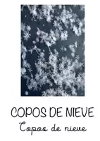Vista previa - Decoración del aula - FLASHCARDS INVIERNO - página 3