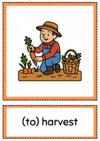 Vorschau - Bildkarten - THANKSGIVING - PICTURE & WORD CARDS (Englisch Bildkarten) - Seite 3