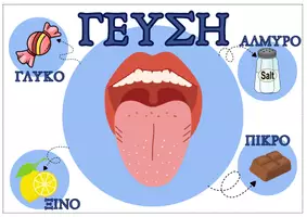 Προεπισκόπηση - Φύλλα εργασίας - ΓΕΥΣΗ - οι 5 αισθήσεις στο Νηπιαγωγείο - Εξώφυλλο