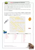 Vorschau - Stundenentwürfe - Jäger und Sammler in der Altsteinzeit - Speiseplan der Altsteinzeit - Suchsel & kreative Aufgabe (Geschichte, Klasse 5/6) - Seite 2