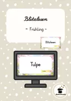 Vorschau - Präsentationen/Tafelbilder - Blitzlesen Frühling – Frühlingswörter | Leseflüssigkeit trainieren Klasse 2/3 - Deckblatt