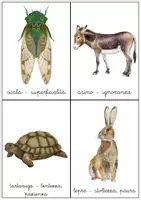 anteprima - Esercizi - Carte inventa storie: generi fiaba e favola! - Pagina 3