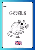 Vorschau - Arbeitsblätter - Rennmäuse_Gerbils_Teil2_Bodyparts - Seite 1