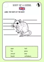Vorschau - Arbeitsblätter - Rennmäuse_Gerbils_Teil2_Bodyparts - Seite 2