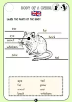 Vorschau - Arbeitsblätter - Rennmäuse_Gerbils_Teil2_Bodyparts - Seite 3