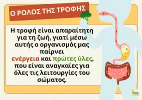 Προεπισκόπηση - Διαδραστικό υλικό - Πεπτικό σύστημα - Παρουσίαση -Φυσικά Ε΄τάξη - Σελίδα 2