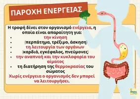 Προεπισκόπηση - Διαδραστικό υλικό - Πεπτικό σύστημα - Παρουσίαση -Φυσικά Ε΄τάξη - Σελίδα 3