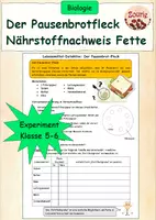 Vorschau - Arbeitsblätter - Versuch: Der Pausenbrotfleck - Nährstoffnachweis Fette - Deckblatt
