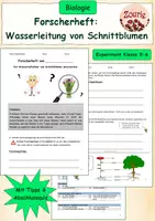 Vorschau - Stundenentwürfe - Experimente-Sammlung Bio Klasse 5 & 6 - Seite 1