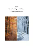 Vorschau - Arbeitsblätter - Diktat Winterliche Wege und Gefahren Klasse 5 und 6 - Deckblatt