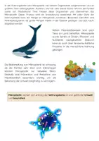 Vorschau - Arbeitsblätter - Mikroplastik in der Nahrungskette: Umwelt und Gesundheit - Seite 2