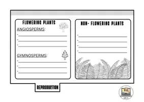 Vista previa - Hojas de trabajo - ALL ABOUT PLANTS FLIPBOOK - página 2