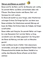 Vorschau - Arbeitsblätter - Warum sind Bienen so wichtig -> Sinnabschnitte - Seite 1
