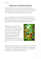 Vorschau - Arbeitsblätter - Der Regenwald – differenzierte Sachtexte & Aufgaben | Klasse 5–6 - Deckblatt