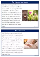 Vorschau - Fördermaterial/Inklusion - Tod, Sterben, Friedhof & Beerdigung WISSENSKARTEI Klasse 3-6 - Seite 2