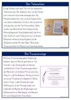 Vorschau - Fördermaterial/Inklusion - Tod, Sterben, Friedhof & Beerdigung WISSENSKARTEI Klasse 3-6 - Seite 3
