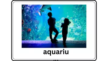 Προεπισκόπηση - Flashcards - Διδακτική Αξιοποίηση Βιβλίου Beehive 4 Unit 4 Vocabulary - Σελίδα 2