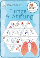 Vorschau - Spiele - Lunge und Atmung - Dreieck Domino Spiel - Deckblatt