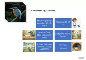 Προεπισκόπηση - Αφίσες - Η ταυτότητα της Αλκυόνης - Εξώφυλλο