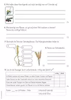 Vorschau - Arbeitsblätter - Bauernhof - Lernzielkontrolle / Test - Seite 3