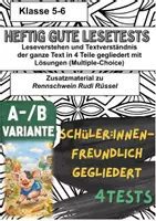 Vorschau - Test - 📘📚 4x Lesetests – Leseverstehen und Textverständnis trainieren am Beispiel des Kinderromans „Rennschwein Rudi Rüssel“ von Uwe Timm (A/B-Variante) 🐷🏁 - Deckblatt