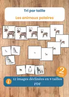 Aperçu - Apprentissages en autonomie - Tri par taille – Animaux polaires – Observation et logique - Page de couverture